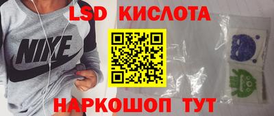 эйфоретик Кингисепп