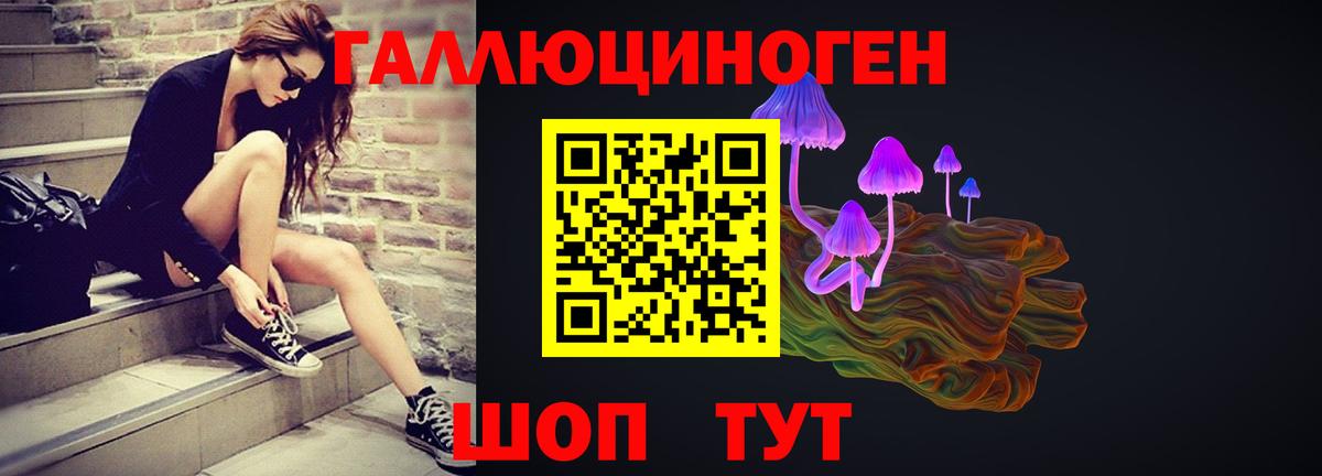 Комсомольск-на-Амуре  Псилоцибиновые грибы Psilocybine cubensis  Вход с VPN  Псилоцибиновые грибы прущие грибы 